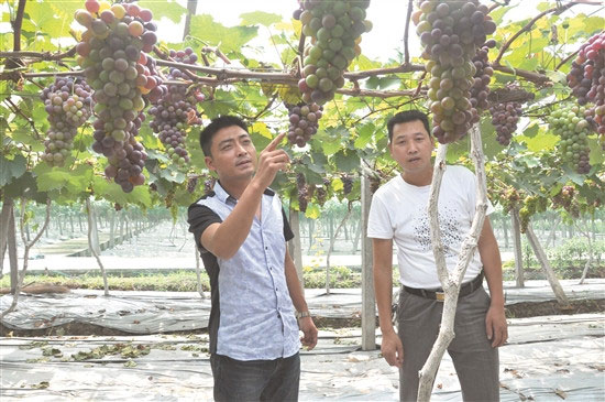 图片默认标题_fororder_1