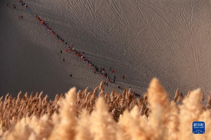 돈황의 짙어가는 가을풍경 돈황의 짙어가는 가을풍경_fororder_3