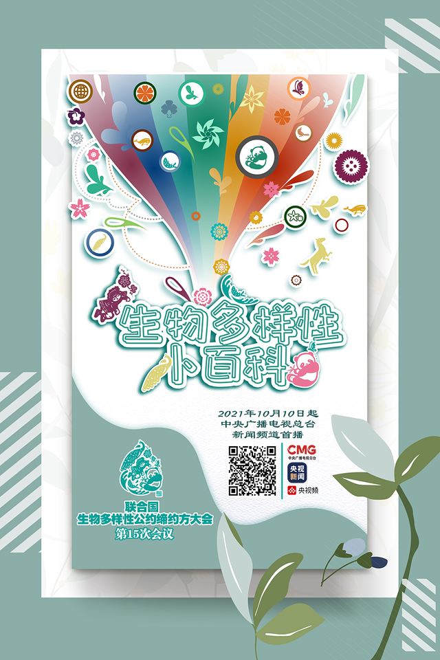 什么是生物多样性?总台新闻频道《生物多样性小百科》为你解答!