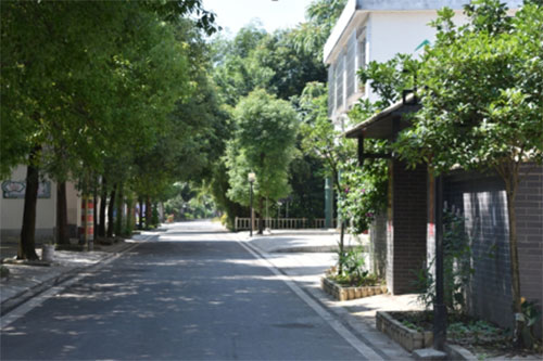 图片默认标题_fororder_1