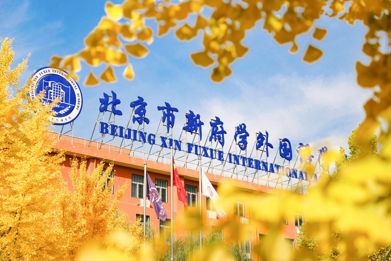 校长来了丨王晓京:培养真正的双向人才 祖国未来的主人 校长来了丨王晓京:培养真正的双向人才 祖国未来的主人_fororder_B4E908D5-22CE-4F84-94CD-823B690A0209