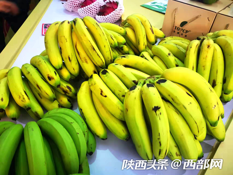 首届中国西部国际果业博览会开展 搭建果业交流合作大平台