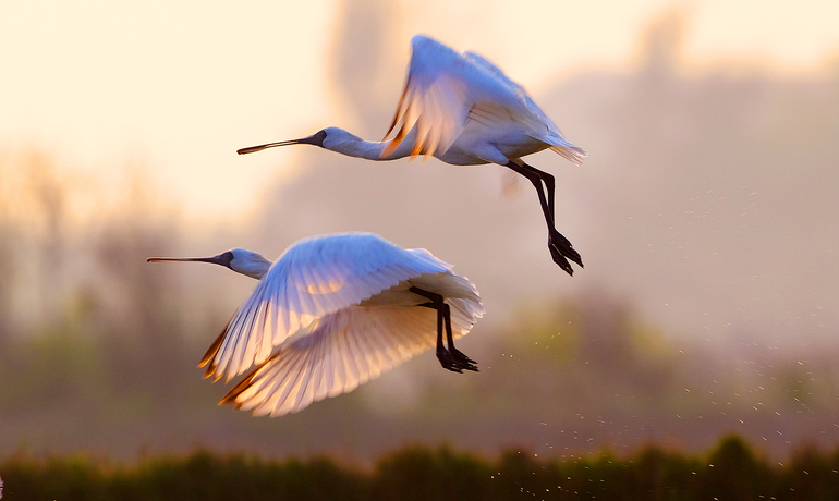 Xi Jinping’in ekolojik medeniyet düşüncesi dünyaya uyum ve güzellik katıyor_fororder_VCG111326659705