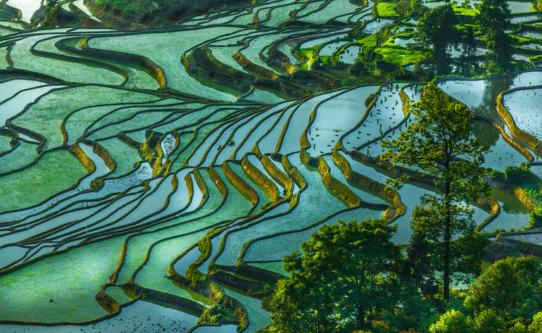 Xi Jinping’in ekolojik medeniyet düşüncesi dünyaya uyum ve güzellik katıyor_fororder_VCG41566384647