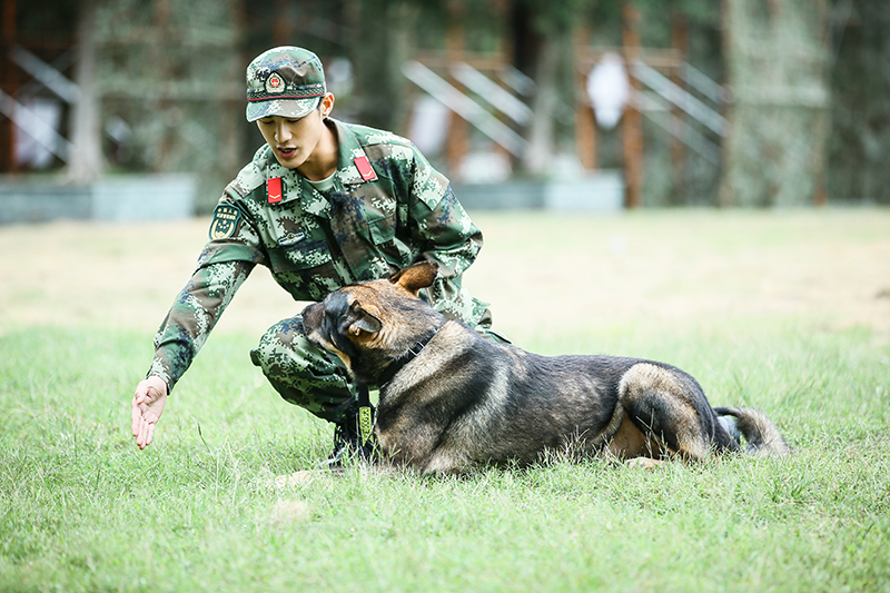 求教官开小灶加训《奇兵神犬》姜潮与犬动情对话