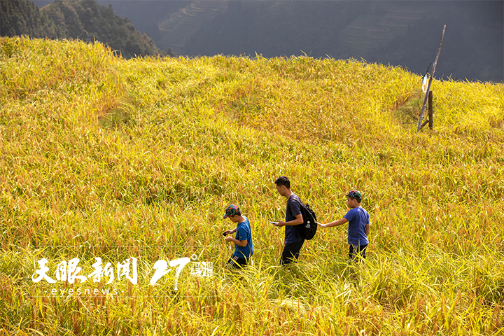 （中首）“大公园”风景正好 从国庆黄金周看贵州旅游产业化