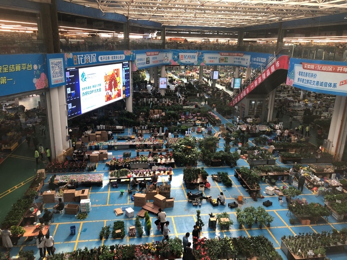 "아시아 꽃의 도시"의 아름다움_fororder_20211012-yazhouhuadu-1