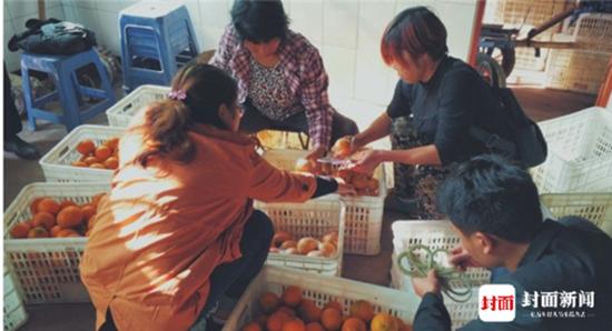 耶鲁毕业生放弃高薪下乡扶贫 帮农民卖柑橘养山鸡