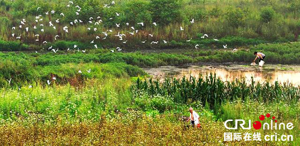 图片默认标题_fororder_3