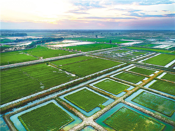 发布5年规划——湖北省小龙虾产业锚定2000亿元目标_fororder_02