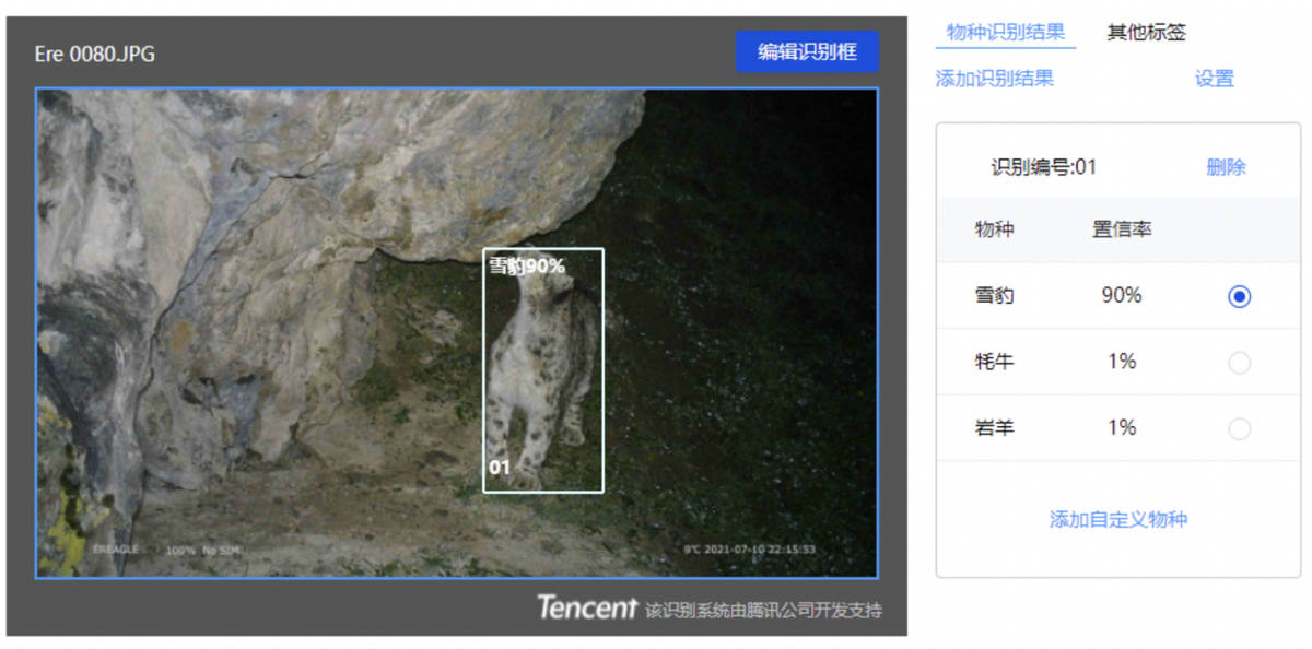 AI技术识别雪豹 腾讯首个雪豹保护数字化平台入选“生物多样性100+案例”_fororder_图片2