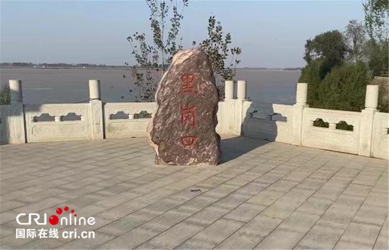 【母亲河畔的中国】开封黄河生态廊道：黄河之畔的“绿色长城”_fororder_图片8