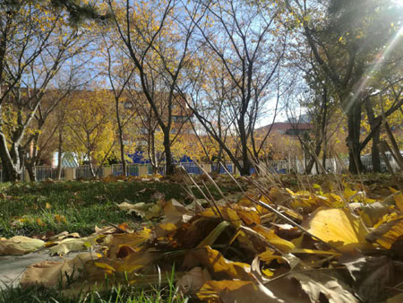 图片默认标题 图片默认标题_fororder_d1-1