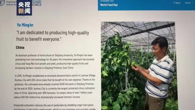 Hari Makanan Dunia Anjuran FAO_fororder_431883720