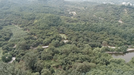 把荒山秃岭留给历史,把绿水青山留给未来 |《美术经典中的党史》邀您走近油画《太行山上的新愚公——李保国》……