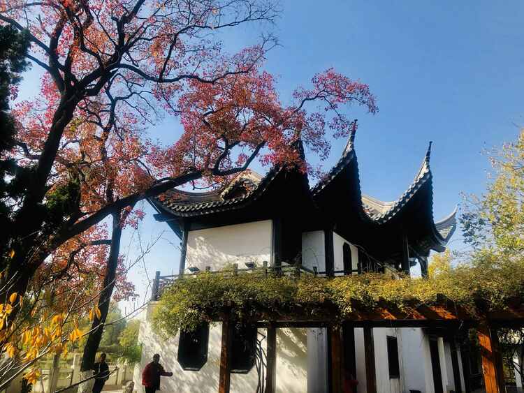 江苏徐州:诗意金秋