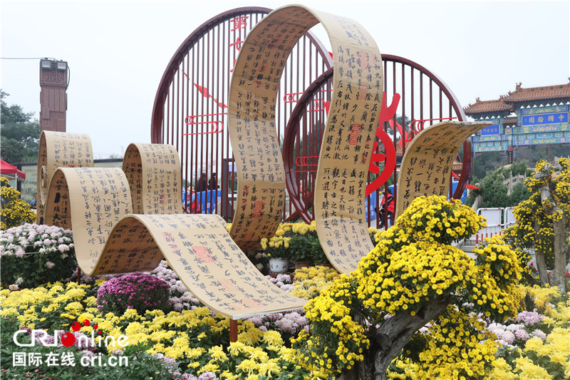 3.2 Million Pots of Chrysanthemums Warmly Welcome Friends from Around the Globe