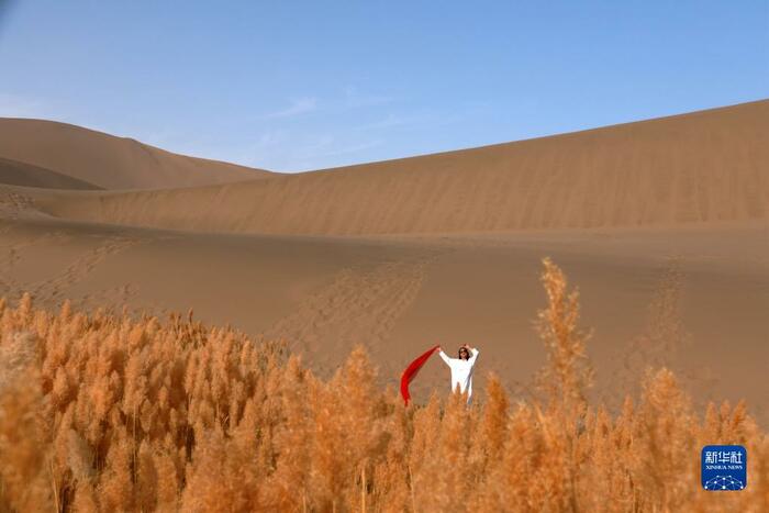 돈황의 짙어가는 가을풍경 돈황의 짙어가는 가을풍경_fororder_1