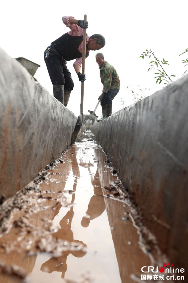 图片默认标题_fororder_平整引水沟渠