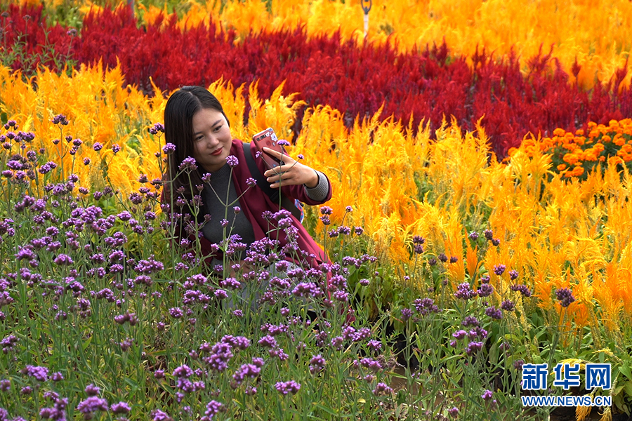世界旅游名城桂林的秋之“彩”