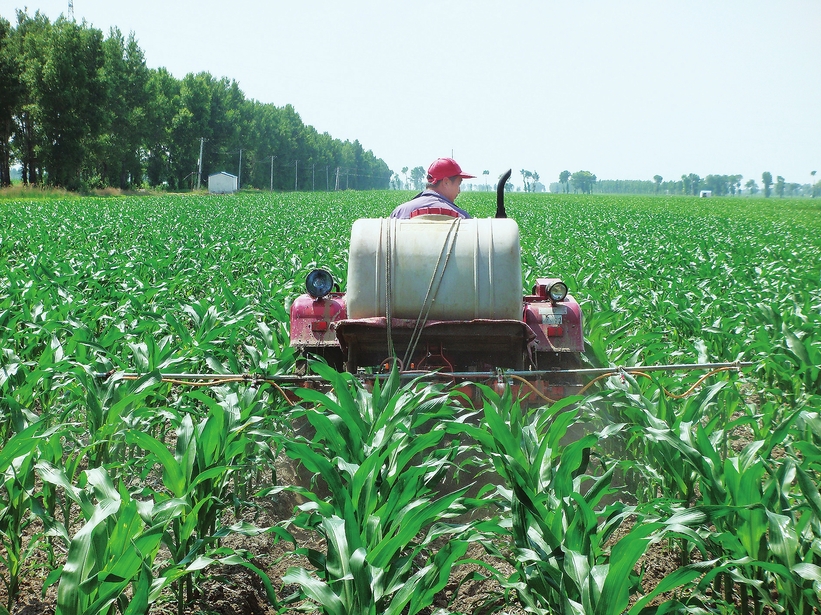 松原乾安县采取多种措施促进作物早熟增产