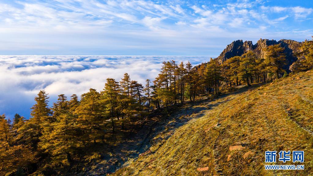 【“飞阅”中国】赏芦芽秋色 观漫山云海_fororder_9