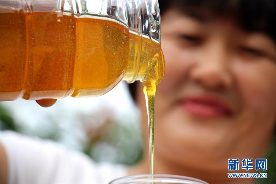 山东滨州:仲夏时节采蜜忙 山东滨州:仲夏时节采蜜忙