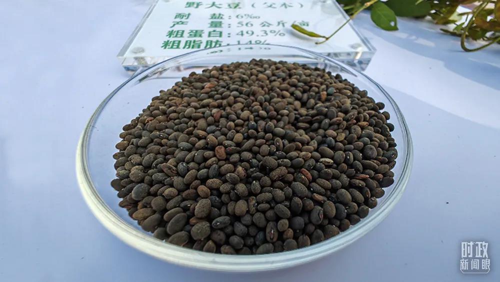 时政新闻眼丨习近平东营考察第二天,看懂“变迁”背后的中国“密码”