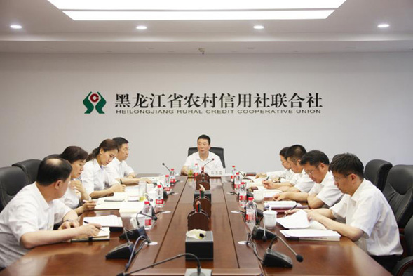 黑龙江省农信联社谋划推进专项整治工作 务求见底见效