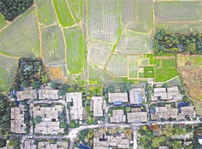 图片默认标题_fororder_4