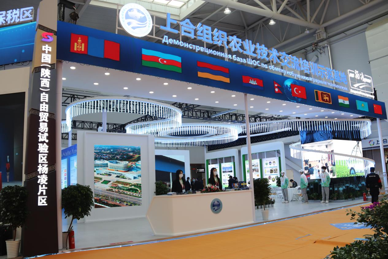 The 28th China Yangling Agri Hi-Tech Fair Injects Vitality into the Development of International Agriculture_fororder_5