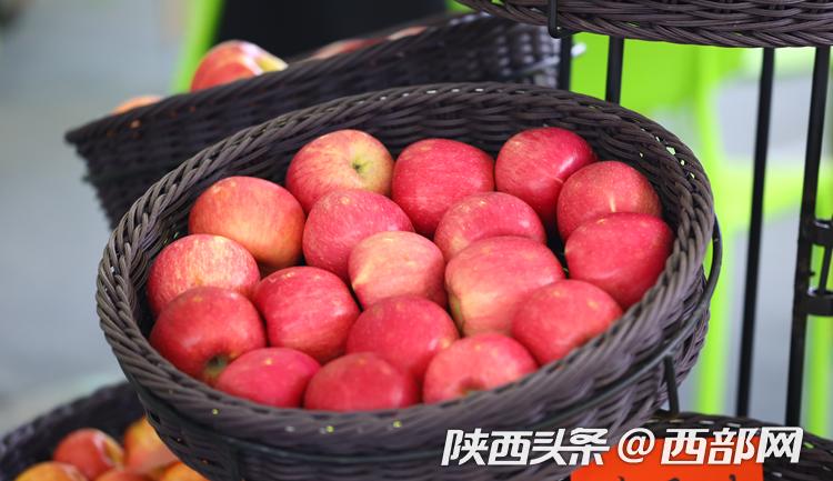 首届中国西部国际果业博览会开展 搭建果业交流合作大平台