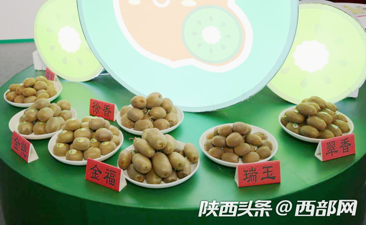 首届中国西部国际果业博览会开展 搭建果业交流合作大平台