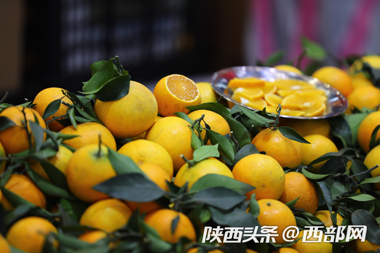 首届中国西部国际果业博览会开展 搭建果业交流合作大平台