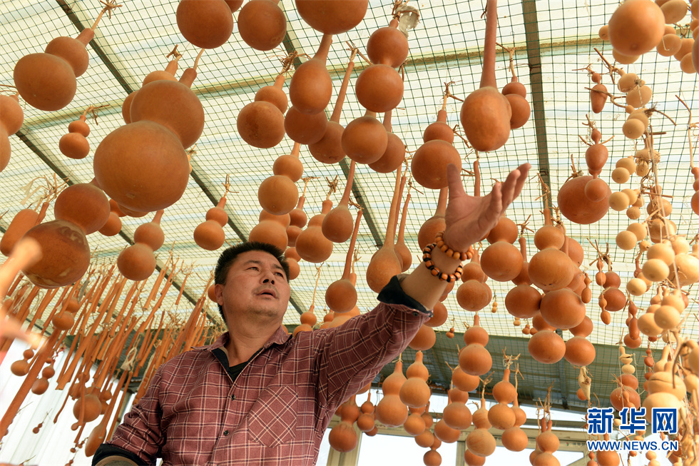 山东聊城:小葫芦催生特色产业亿元村共同富裕路