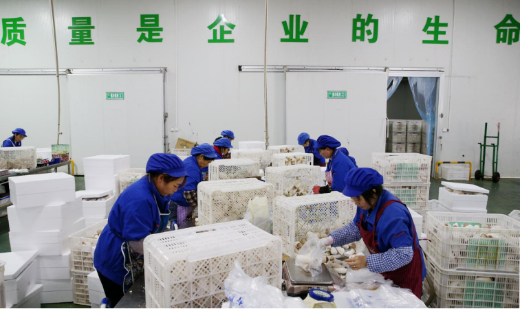 贵州贵旺被认定第七批国家农业龙头企业