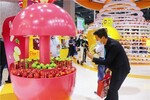 广东省农业龙头企业亮相第四届中国国际进口博览会