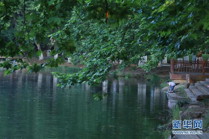 图片默认标题 图片默认标题_fororder_1