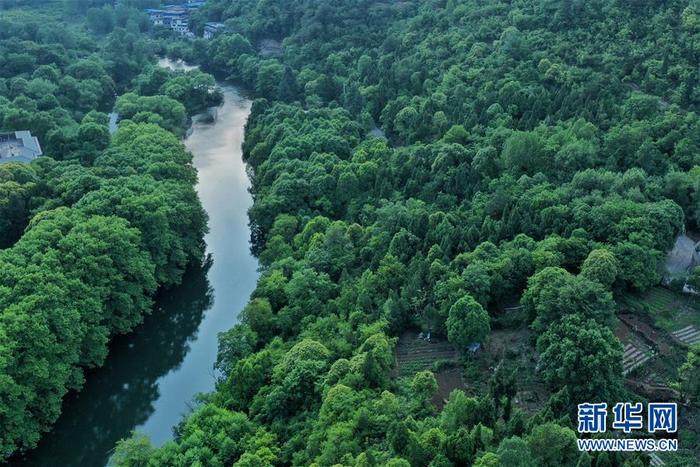 图片默认标题 图片默认标题_fororder_4