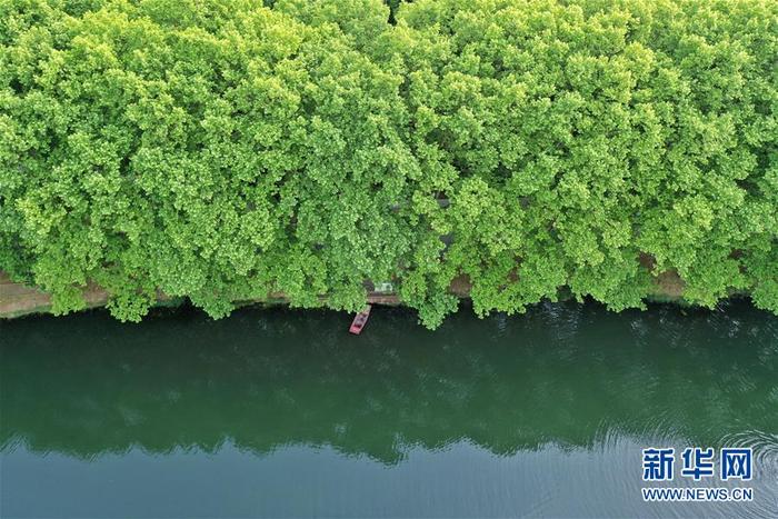 图片默认标题 图片默认标题_fororder_5