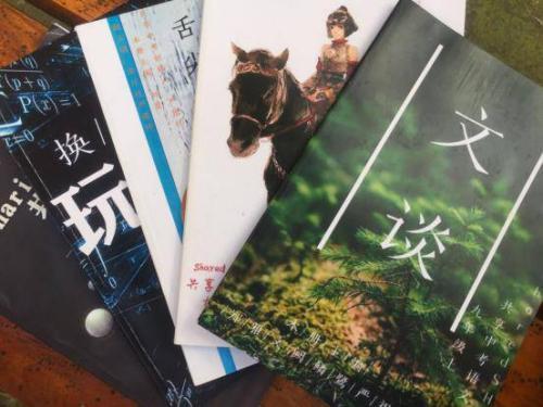 高一“学霸”编中考教辅 “画风清奇”走红网络