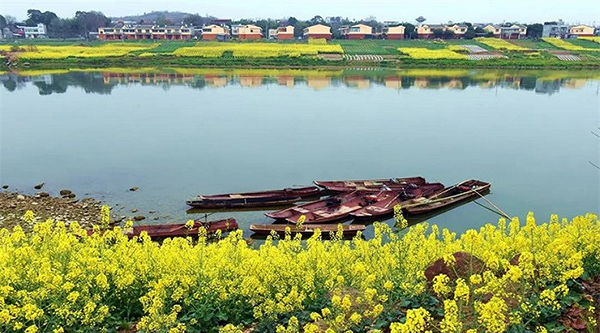 金堂县四个村被成都市命名为首批乡村文化振兴市级样板村