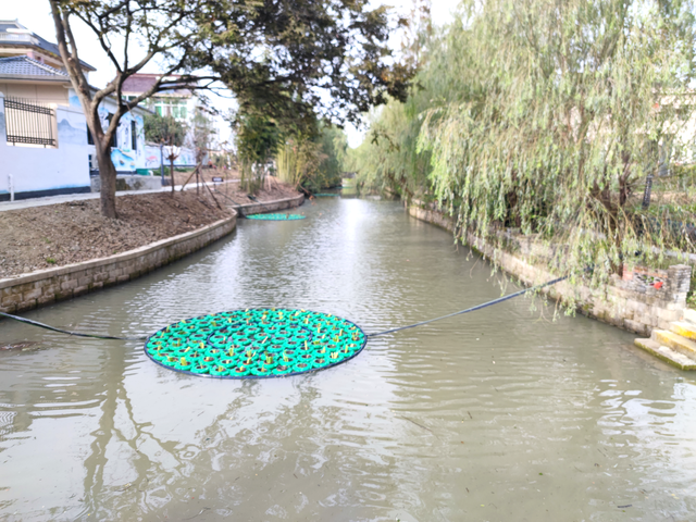 赋新能 创新篇|海盐县沈荡镇党代表开门履职交“答卷” 赋新能 创新篇|海盐县沈荡镇党代表开门履职交“答卷”