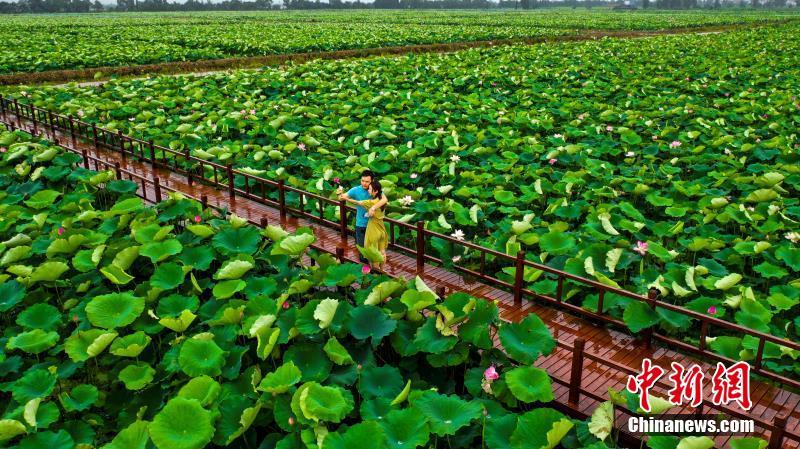 图片默认标题_fororder_5