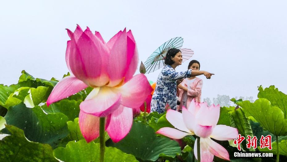 图片默认标题_fororder_3