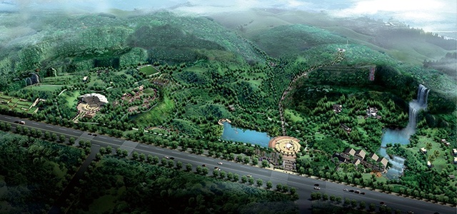 万绿生态 少球无球法桐助推生态宜居样本 万绿生态 少球无球法桐助推生态宜居样本