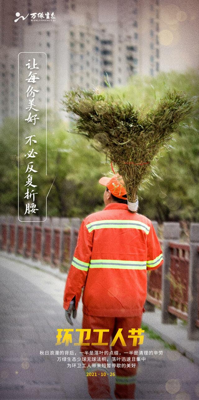 万绿生态少球无球法桐 重拾城市秋日浪漫 万绿生态少球无球法桐 重拾城市秋日浪漫