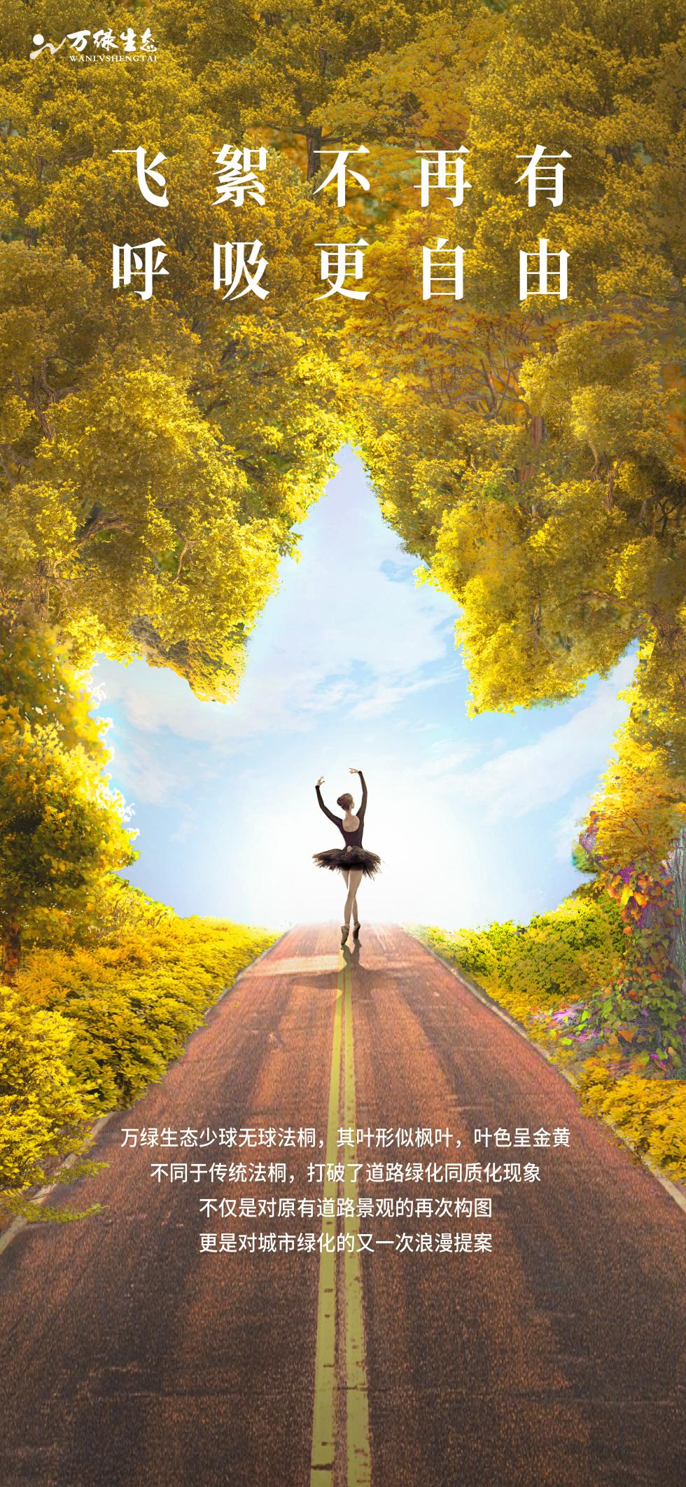 万绿生态少球无球法桐 重拾城市秋日浪漫 万绿生态少球无球法桐 重拾城市秋日浪漫