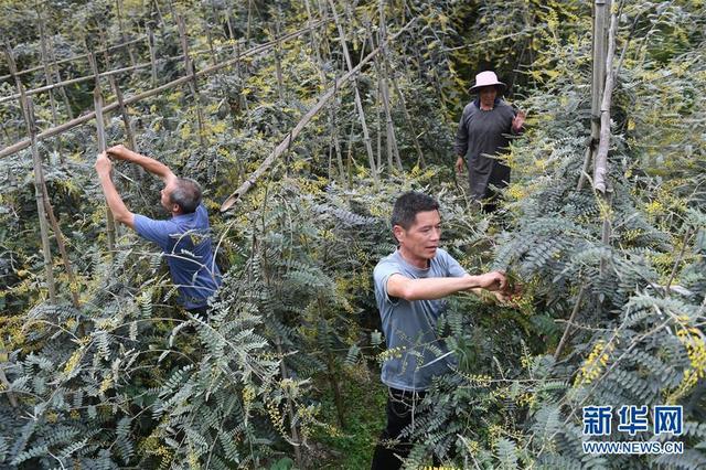 图片默认标题_fororder_7