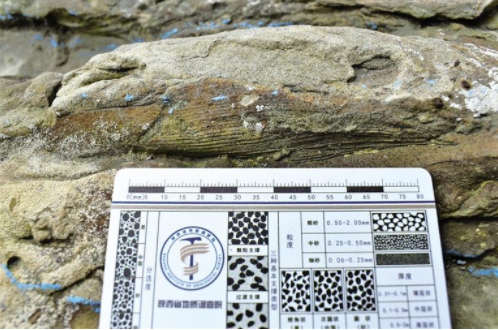 【中首 陕西  图】陕北发现重要恐龙足迹化石_fororder_QQ图片20211102085309